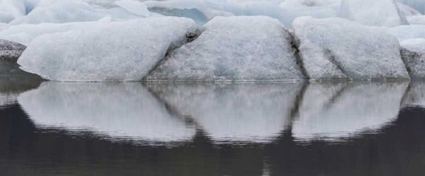 Iceland Fjallsjokull Glacier reflects in water